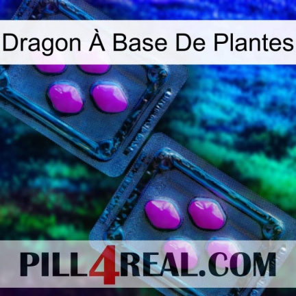 Dragon À Base De Plantes 03